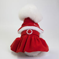 Fashionable Christmas Clothes for Dogs