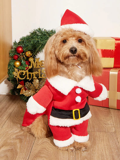 Christmas Costume for Dogs