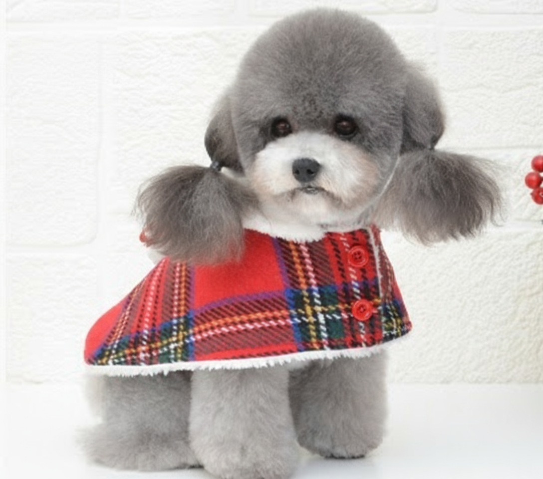 Christmas and New Year Dog Clothes for Pets