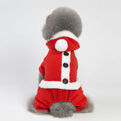 Fashionable Christmas Clothes for Dogs