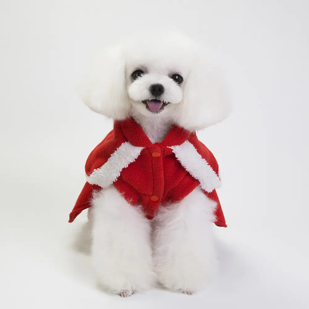 Fashionable Christmas Clothes for Dogs