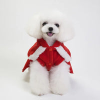 Fashionable Christmas Clothes for Dogs